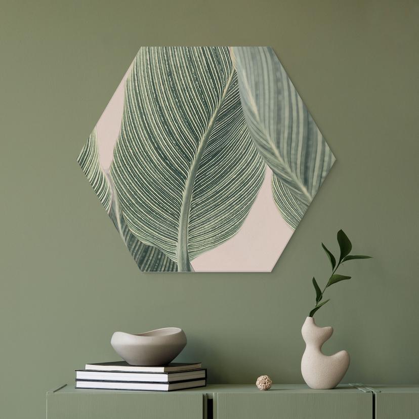 Esagono Alu-Dibond Pianta di calathea - Sisi & Seb