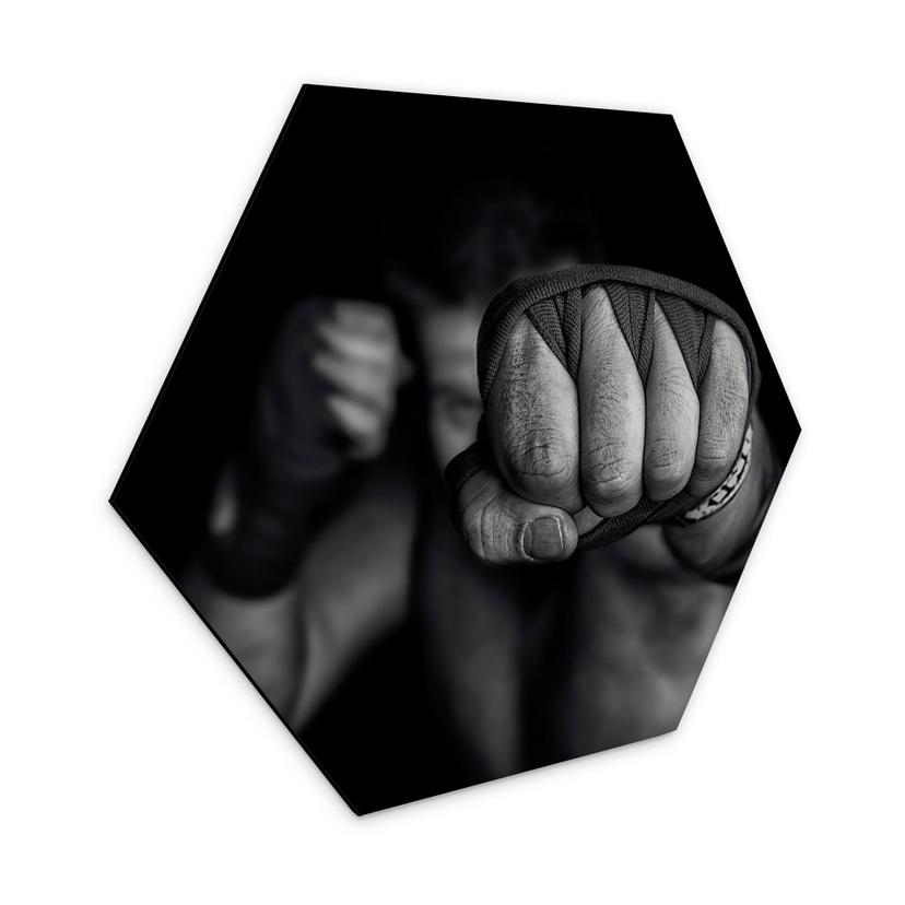 Hexagon Dibond Vrican - Een Linkse