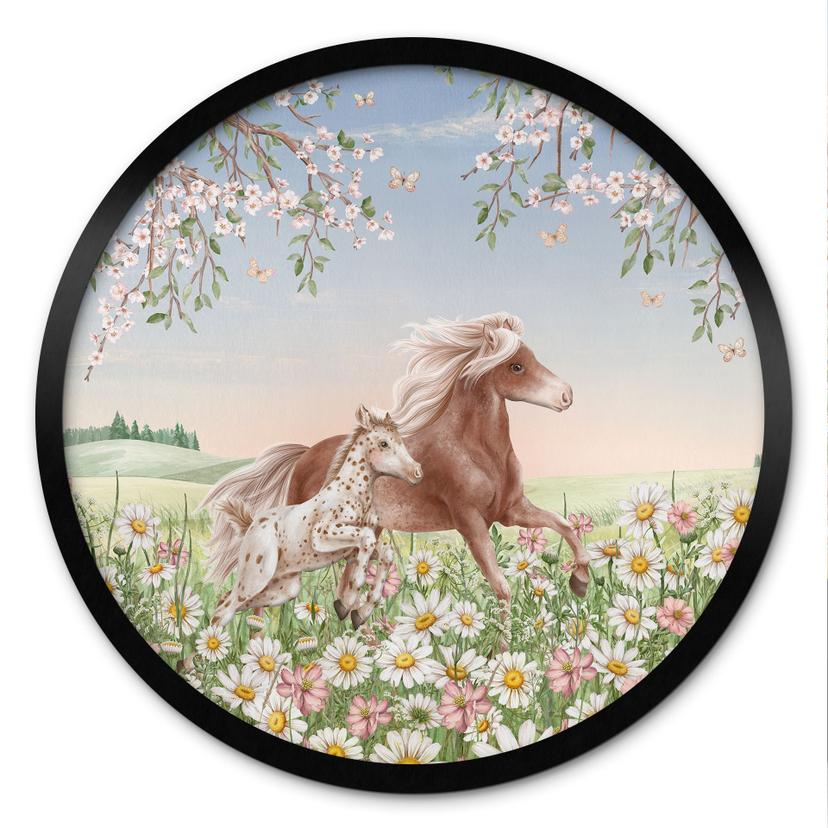 Heste i blomsterengen plakat - Kikki Belle - Round