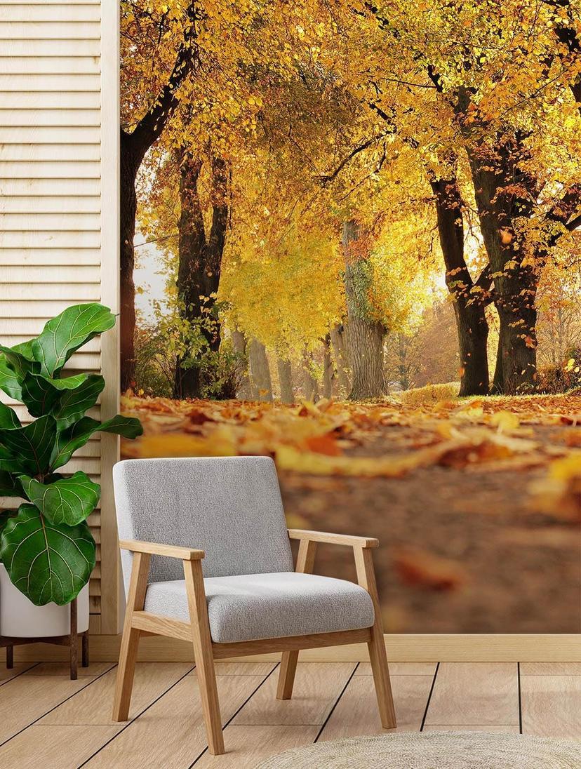 Fototapete, Goldener Polnischer Herbst