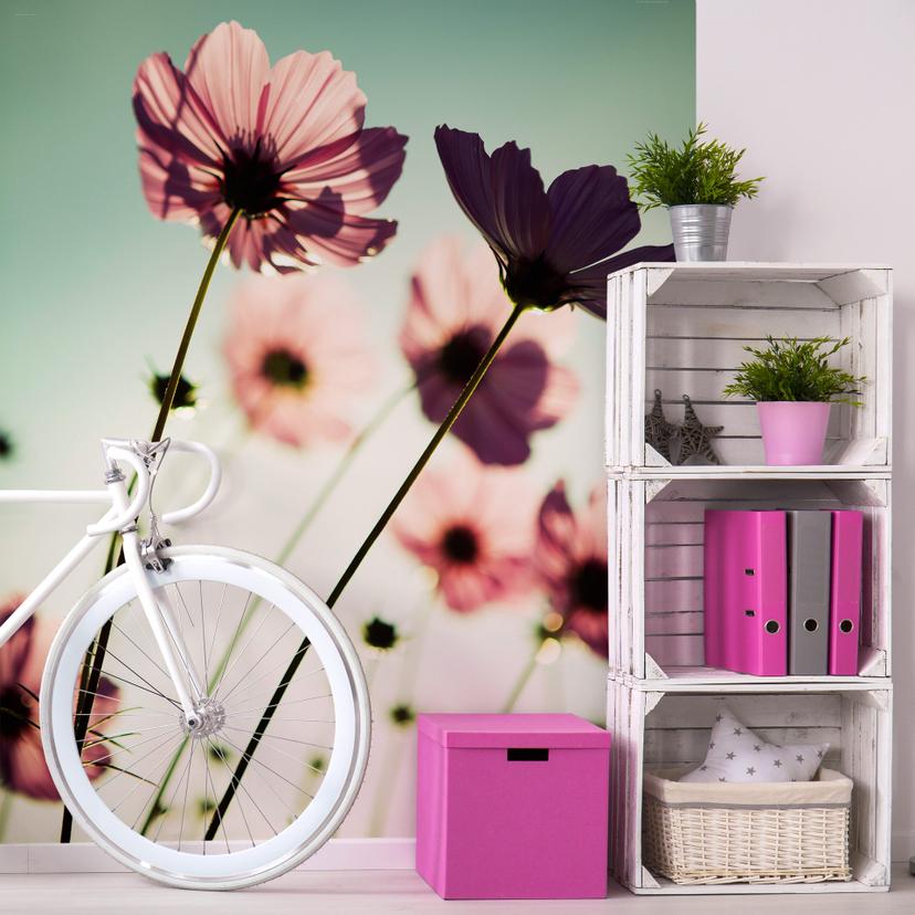 Papier peint photo Cosmos roses - 192x260 cm