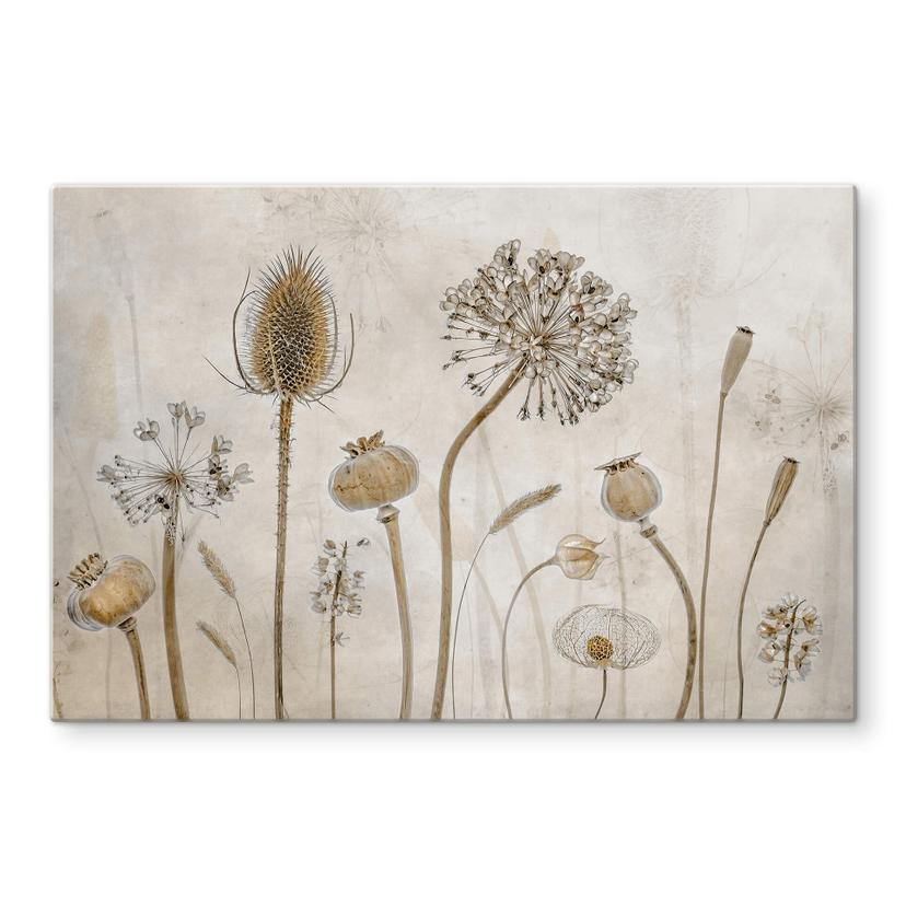 Pannello paraschizzi Disher - Fiori secchi