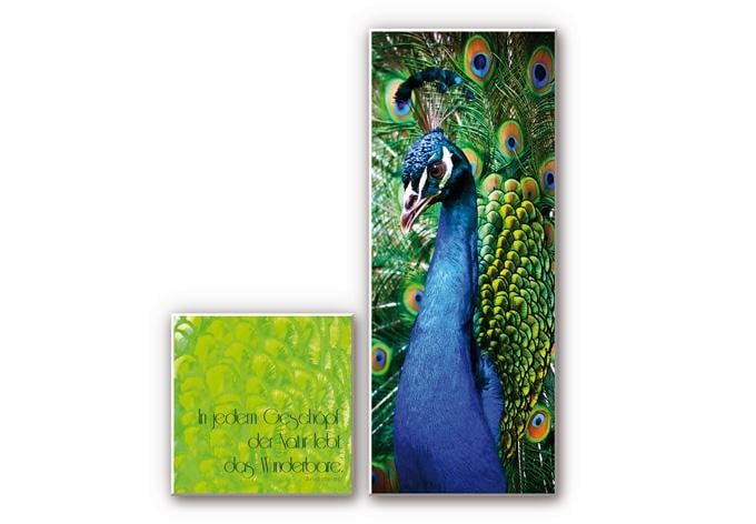 Tableau Forex - Dans chaque créature de la Nature (2 pièces)