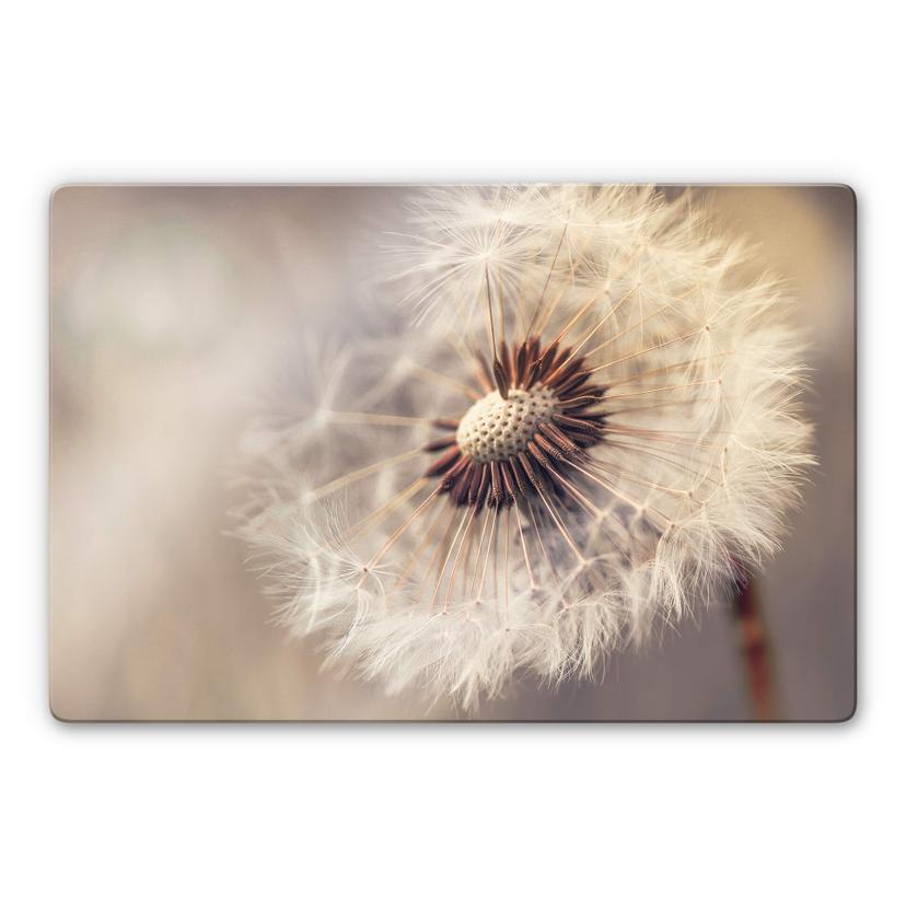 Tableau en verre Delgado - Pissenlits