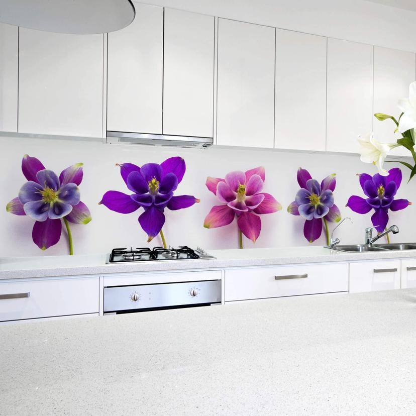 Revêtement pour cuisine - Alu-Dibond - Fleurs roses - Argenté
