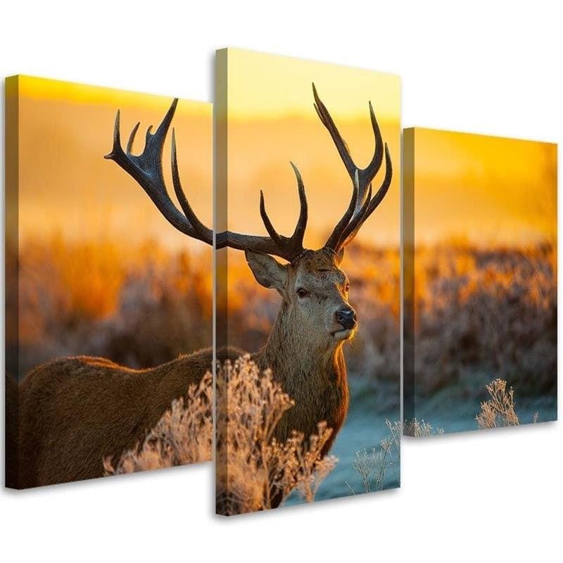 3 stykke lærredstryk Hjortedyrs solnedgang natur