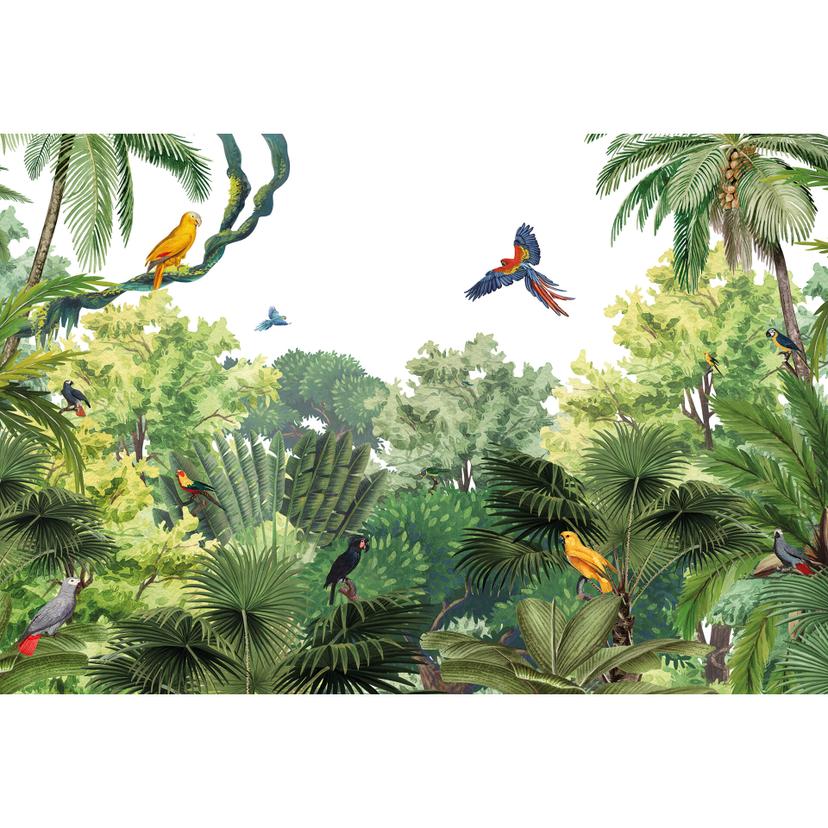 Fotomurale Kikki Belle - Uccelli tropicali