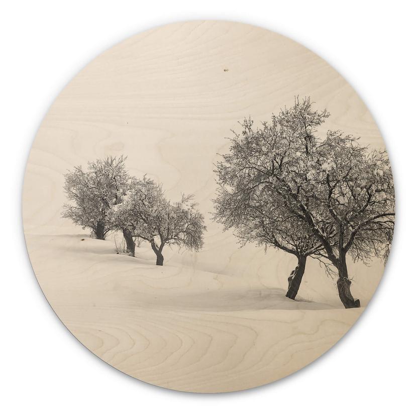 Cuadro de madera Carrillo Lopez - Paisaje blanco - Redondo