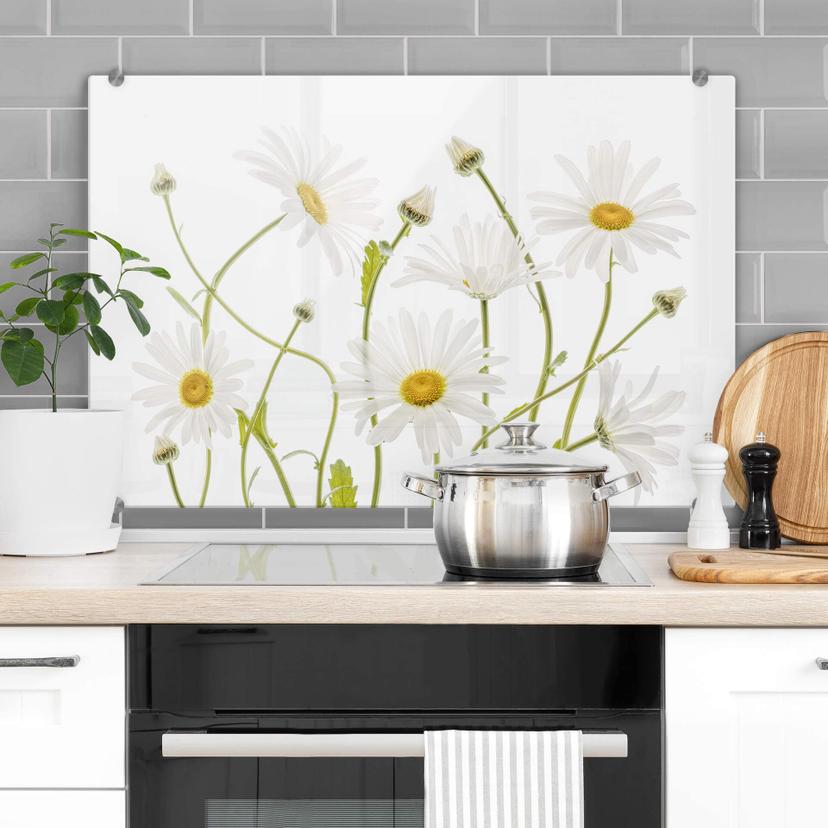 Stænkplade - Disher - Ox eye Daisies