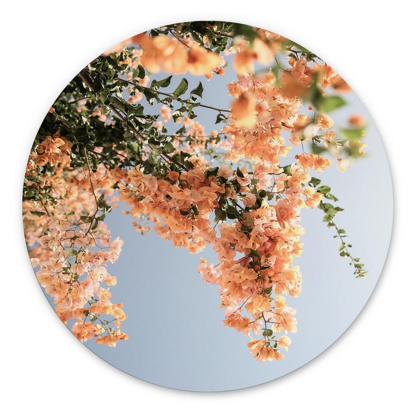 Tableau sur alu-Dibond rond Fleurs de pêcher à Assos - Shot by Clint