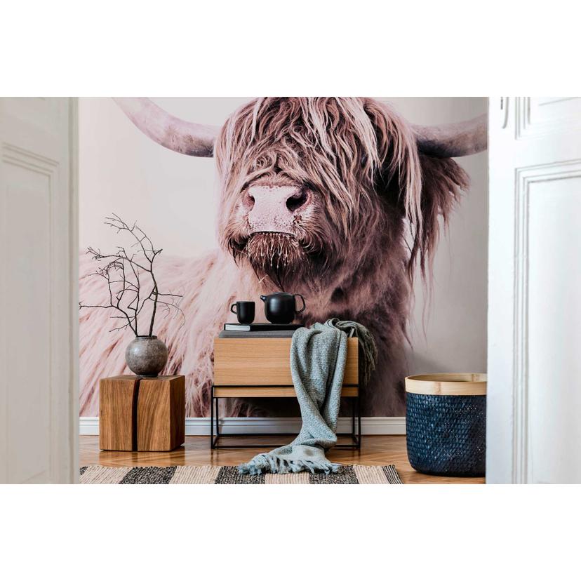 Livingwalls papier peint photo ARTist Highland Cattle marron, crème