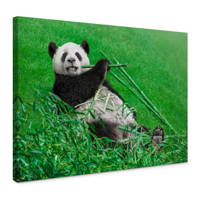 Lienzo Ben Heine - Panda feliz