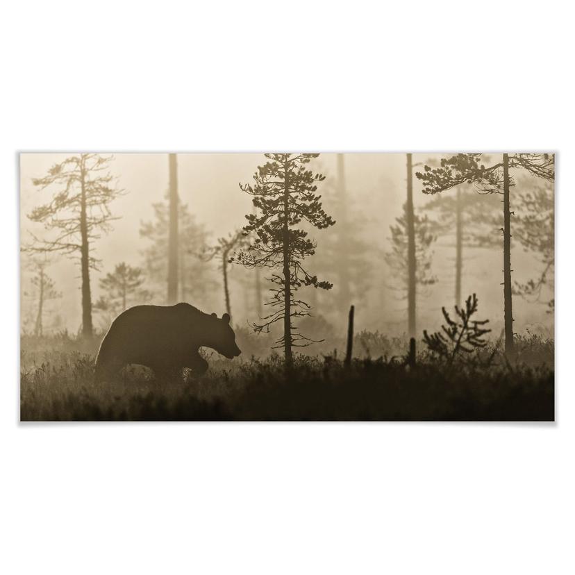 Póster Ove Linde - Niebla por la mañana - Panorama
