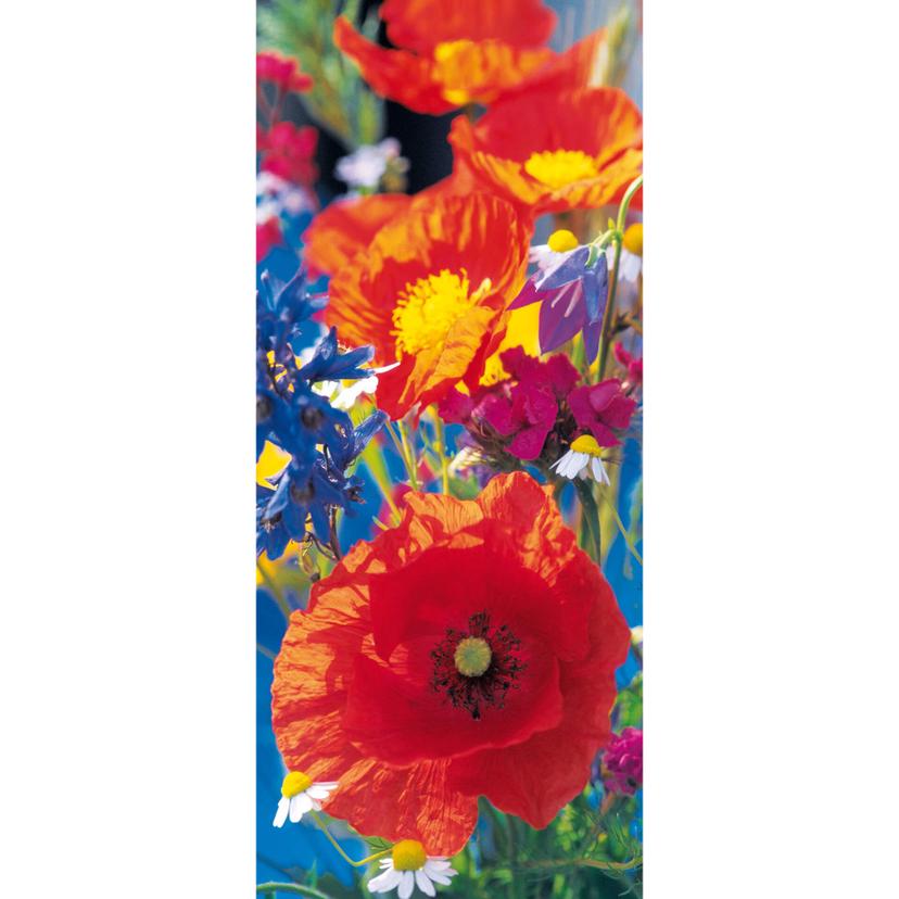 Deurfolie Red Poppies 86x200 cm