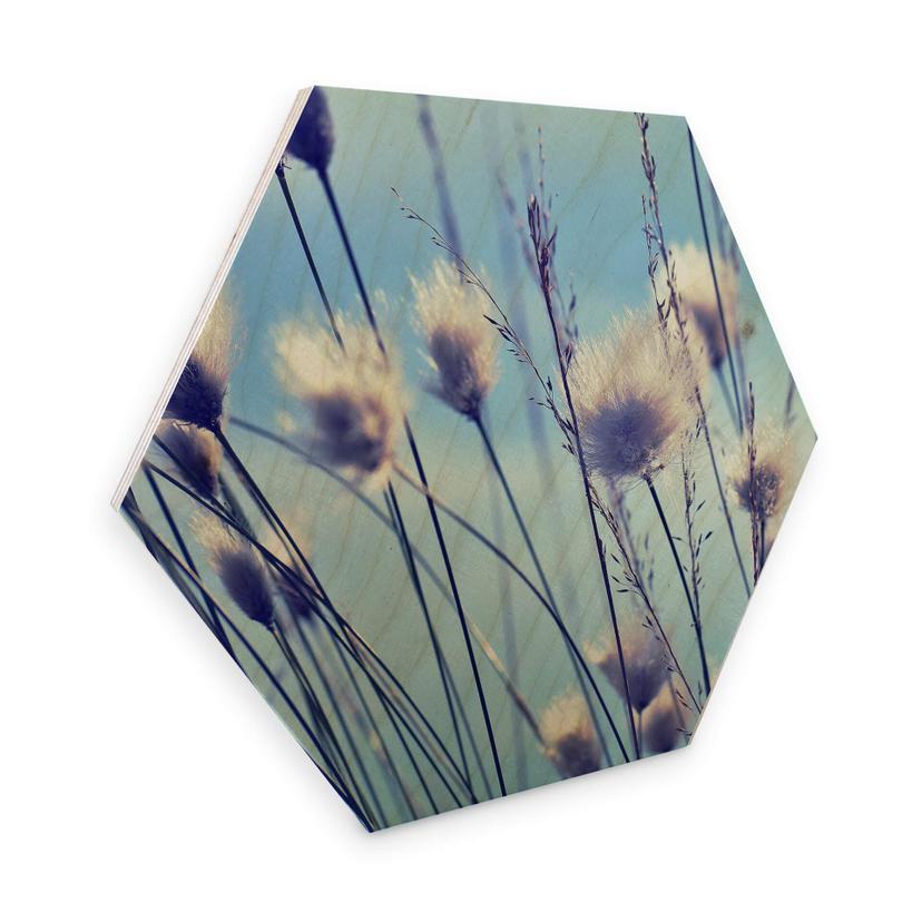 Hexagone - Placage bois de bouleau Delgado - Fleurs dans le vent