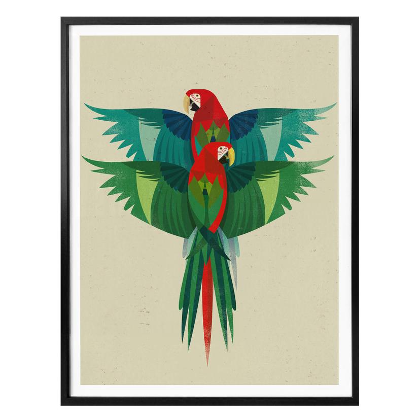 Póster Marrón - Guacamayo