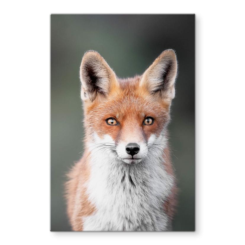 Tableau sur verre van Duijn - Yeux de renard