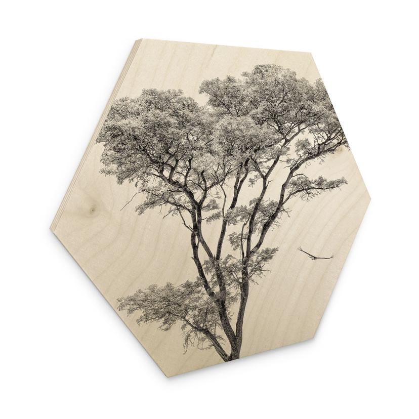 Hexagon Holzbild Minimalistischer Baum in ruhiger Landschaft - Flour