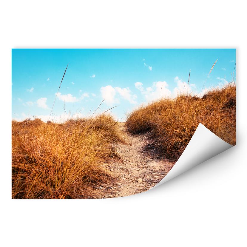 Zelfklevende Poster Way to the Beach