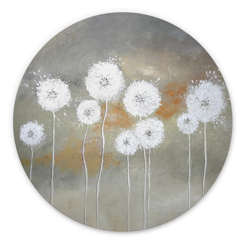 Vægcirkel Melz - White Dandelions – print på aluminium (Alu-Dibond)