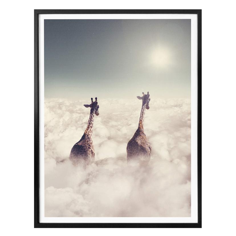 Plakat - Loose - Giant Giraffes