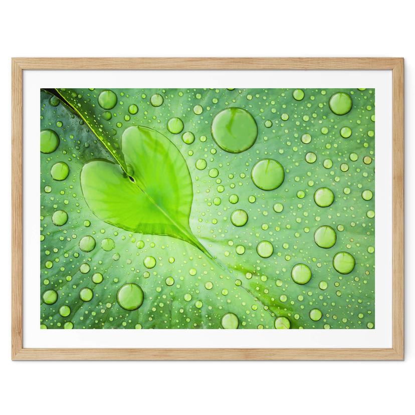 Póster - Corazón de gotas de agua sobre una hoja verde