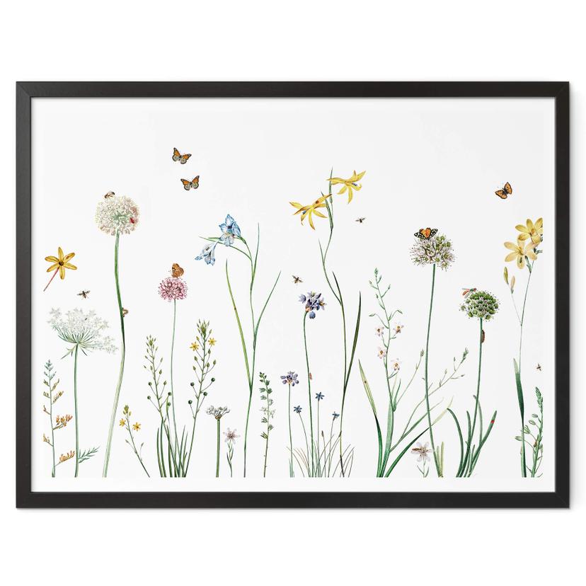 Póster Sir Edward - Pradera de mariposas