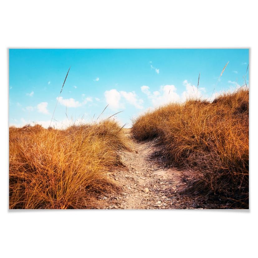 Poster - Montée de plage
