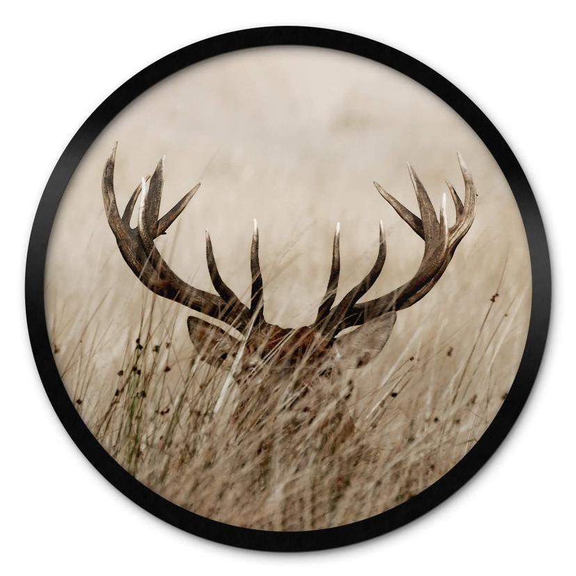Plakat Deer