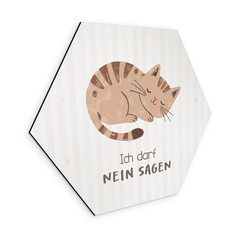 Alu-Dibond Hexagon mit Katze - positiver Spruch 'Ich darf nein sagen'