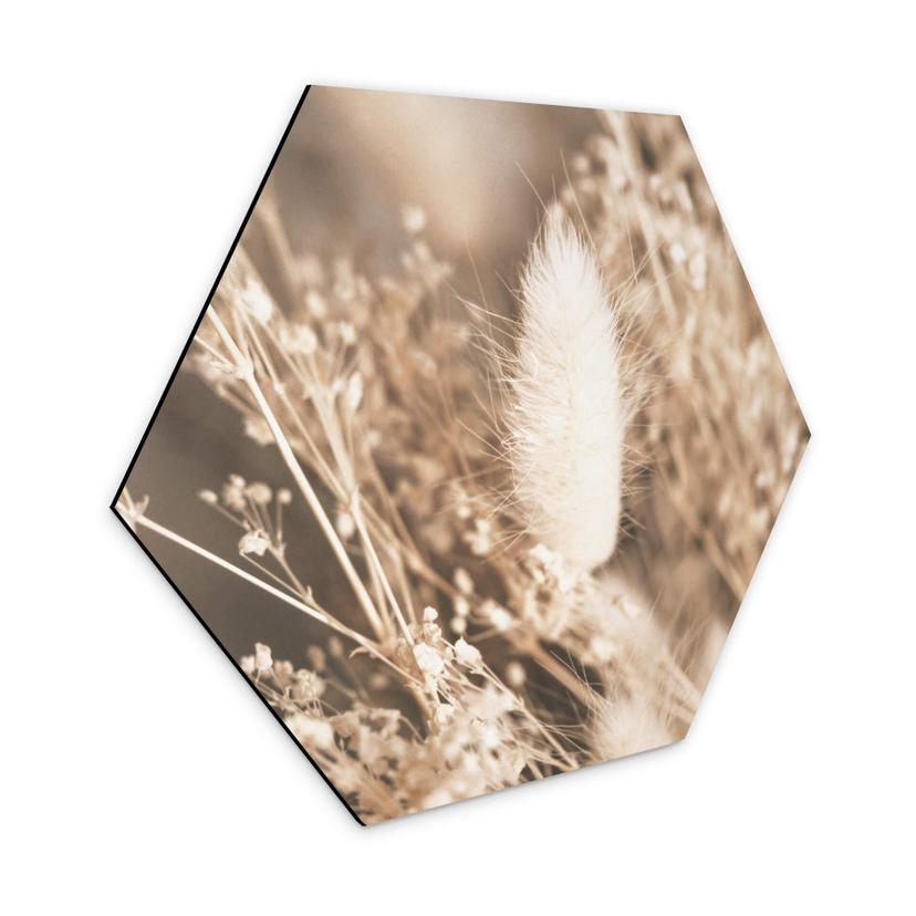 Hexagone - Alu-Dibond Annie - Faisceau d'herbes