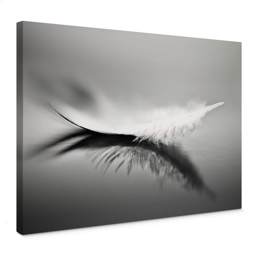 Canvasbillede - Coutinho - Weightless