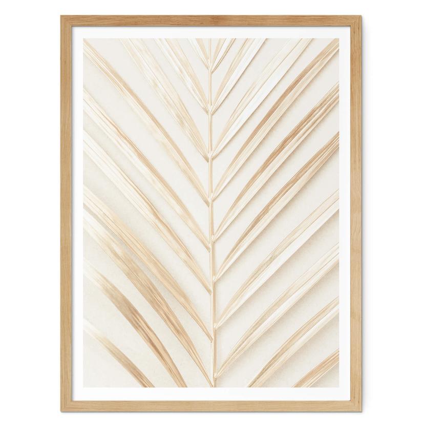 Póster 1X Estudio - Hoja de palma dorada