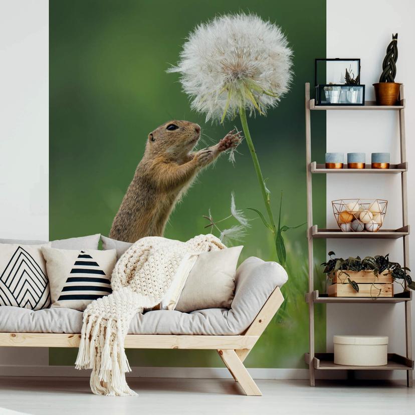Fototapete van Duijn - Erdhörnchen mit Pusteblume- 192x260 cm