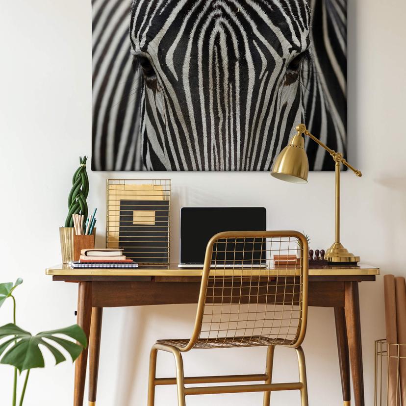 Canvas Zebra