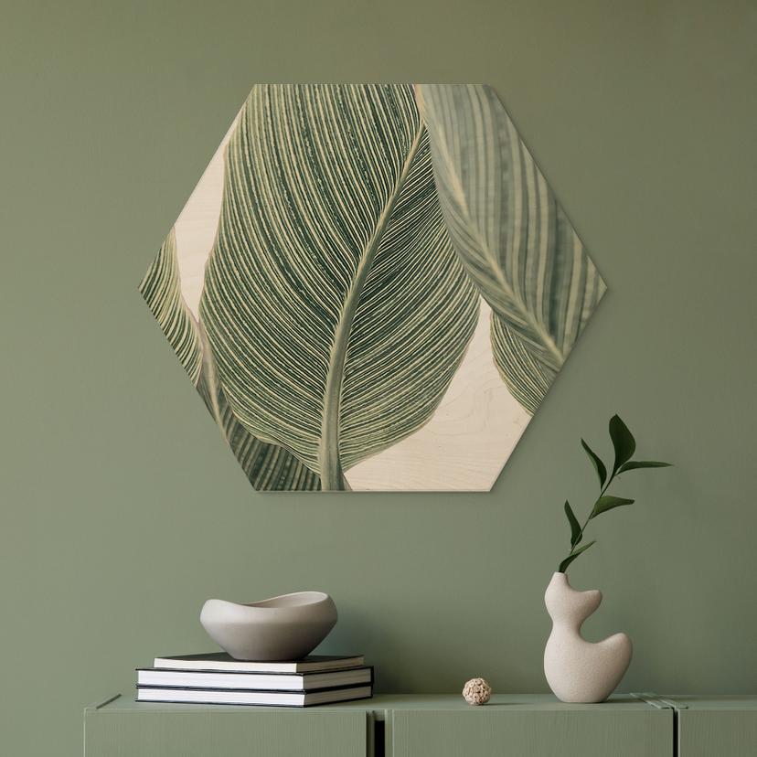 Esagono in legno Pianta di calathea - Sisi & Seb