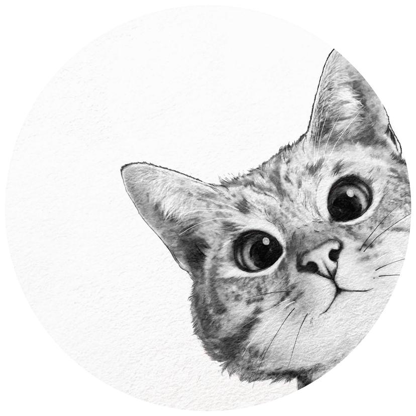Behangcirkel Graves - Sneaky Cat - vliesbehang/zelfklevend vliesbehang