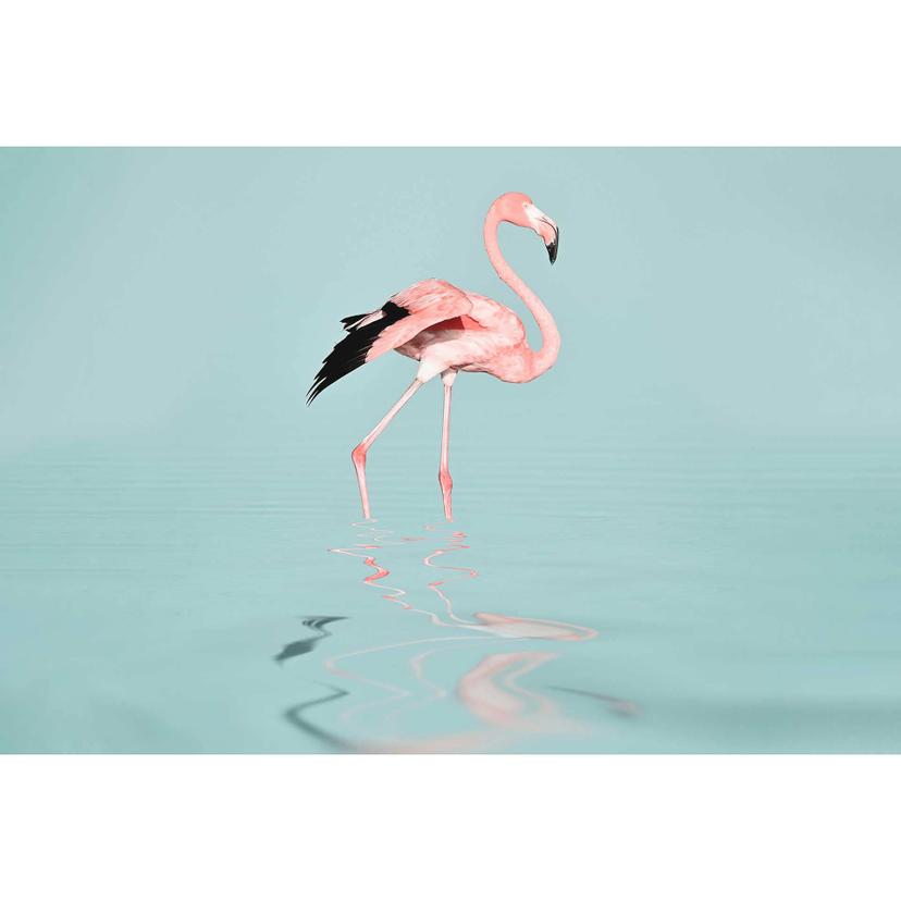 Livingwalls papier peint photo ARTist Flamingo Water