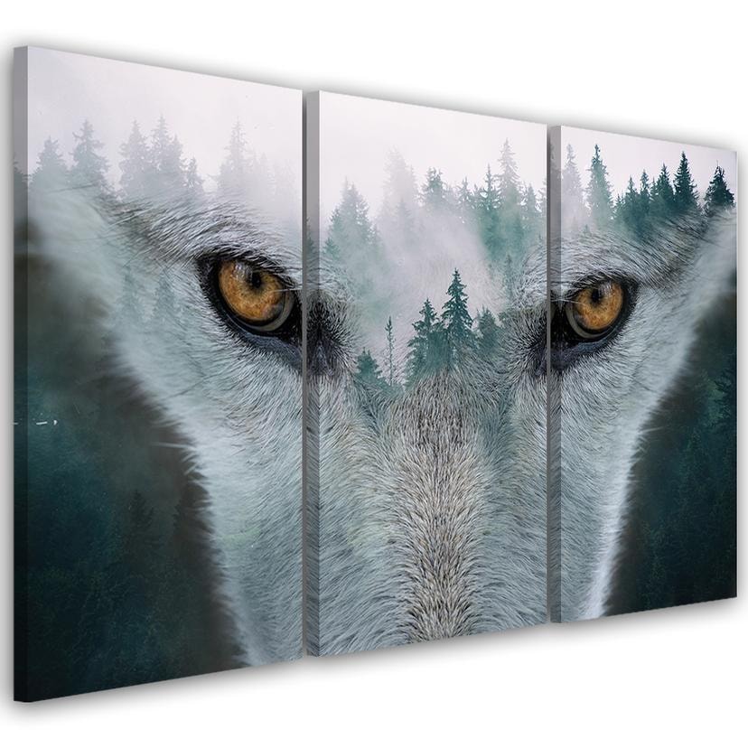 Impression sur toile en 3 parties, Loup Forêt Brouillard Nature Arbres