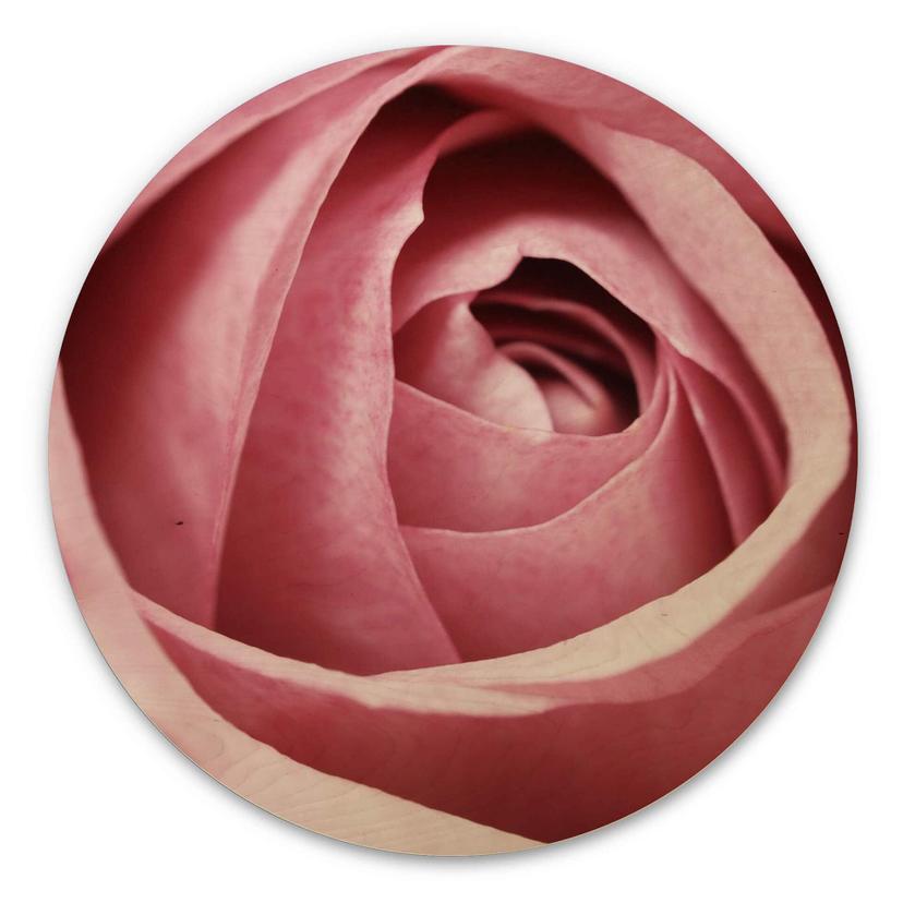 Tableau sur bois La rose rose - Rond