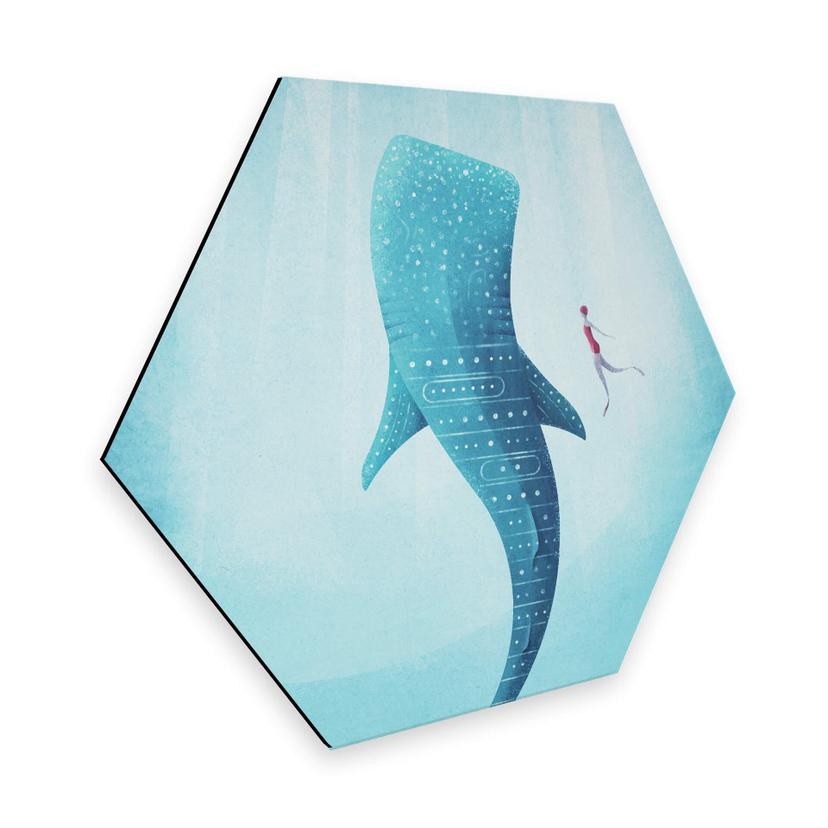 Hexagone - Alu-Dibond Rivers - Le requin baleine