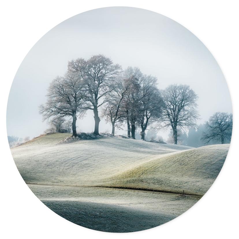 Vinilo decorativo paisaje montañoso escarchado - Eisenmann - Redondo