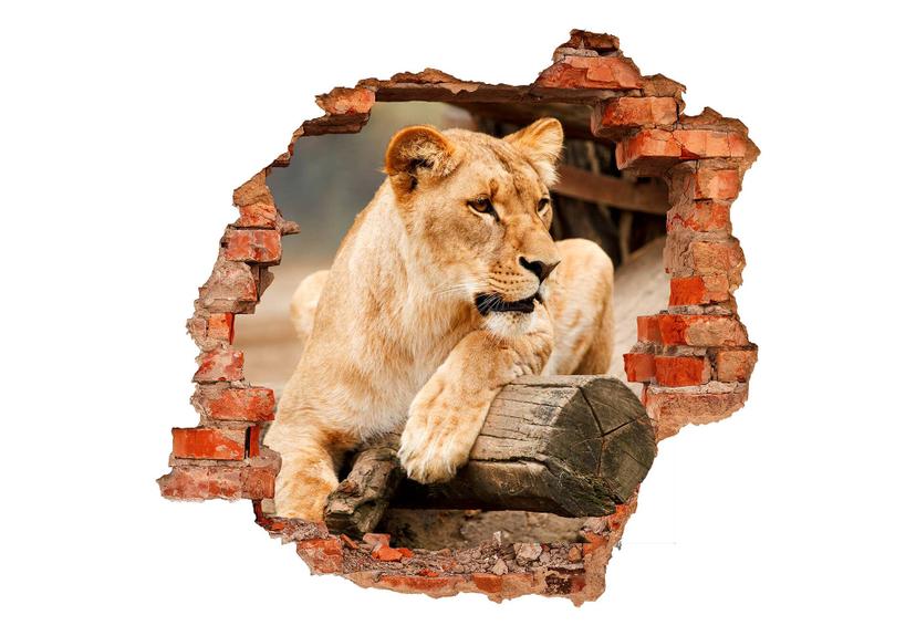 Sticker mural 3D Lionne d'Afrique