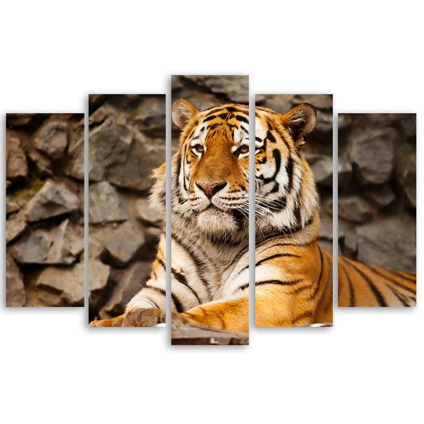 Stampa su tela 5 pezzi, animali della tigre dell'Africa