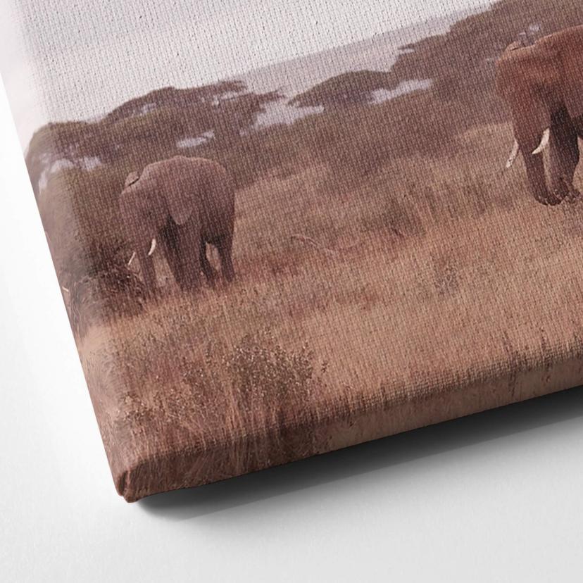 Canvas Olifantenkudde