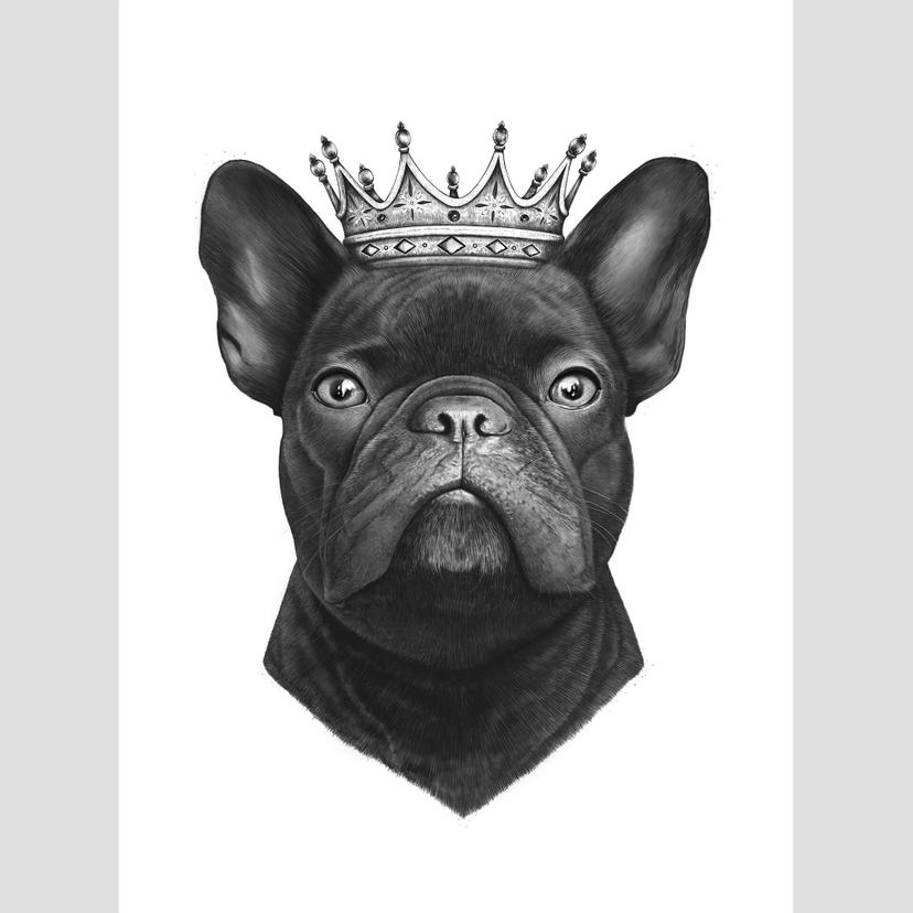 Fotobehang Korenkova - King French Bulldog