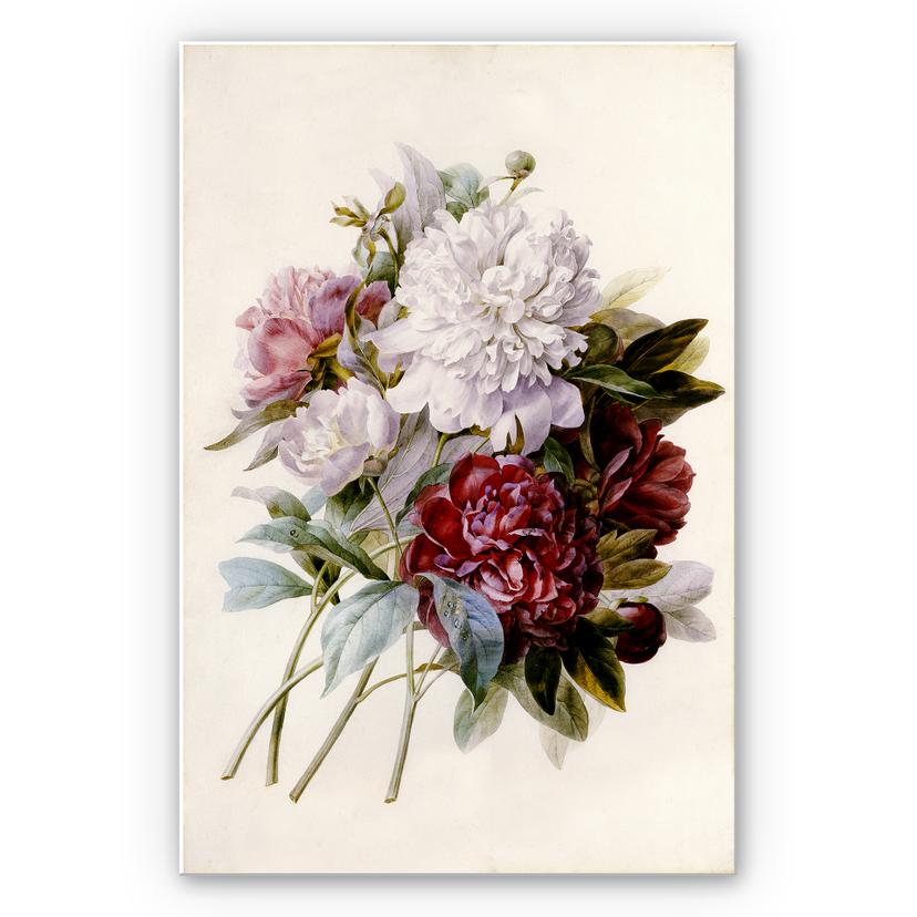 Wanddecoratie Redouté - Boeket Pioenen
