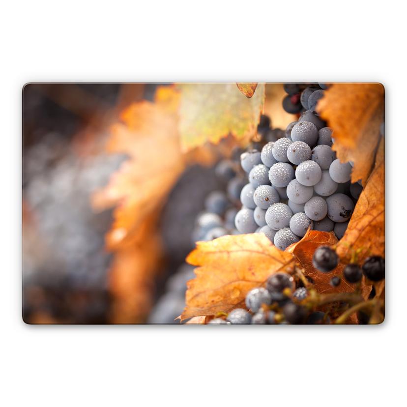 Tableau en verre - Le vin d'automne