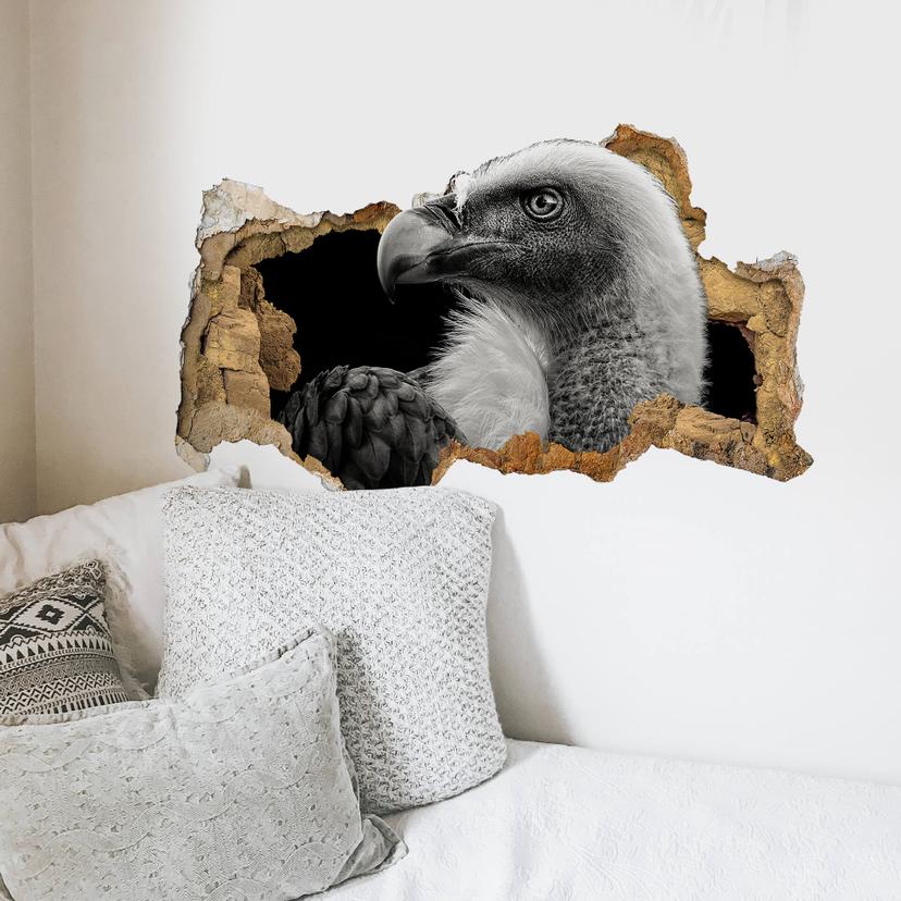 Adesivo murale 3D Meermann - Avvoltoio