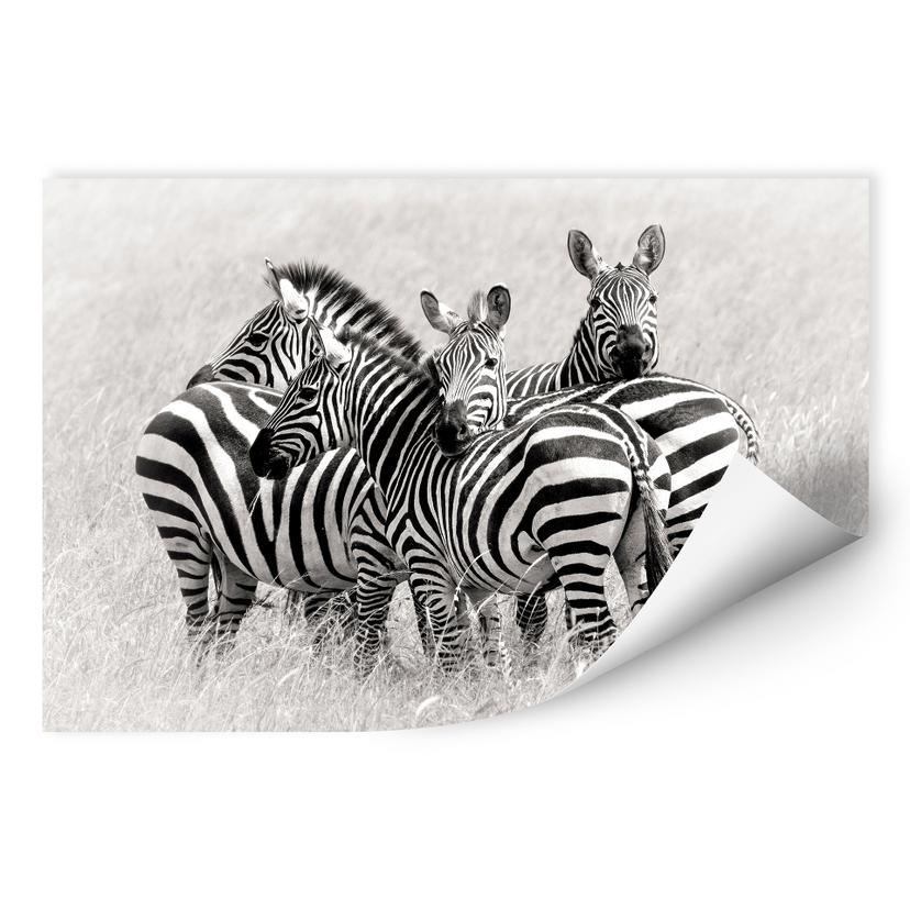 Zelfklevende Poster - Trubitsyn - Zebra's in de Savanne